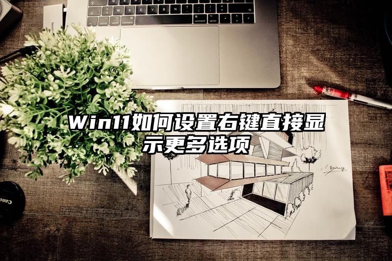 Win11如何设置右键直接显示更多选项