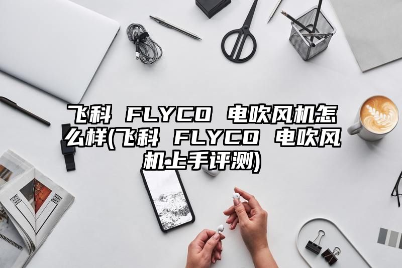 飞科 FLYCO 电吹风机怎么样