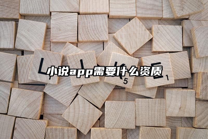 小说app需要什么资质