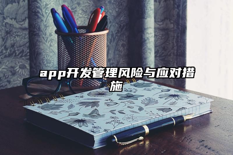 app开发管理风险与应对措施