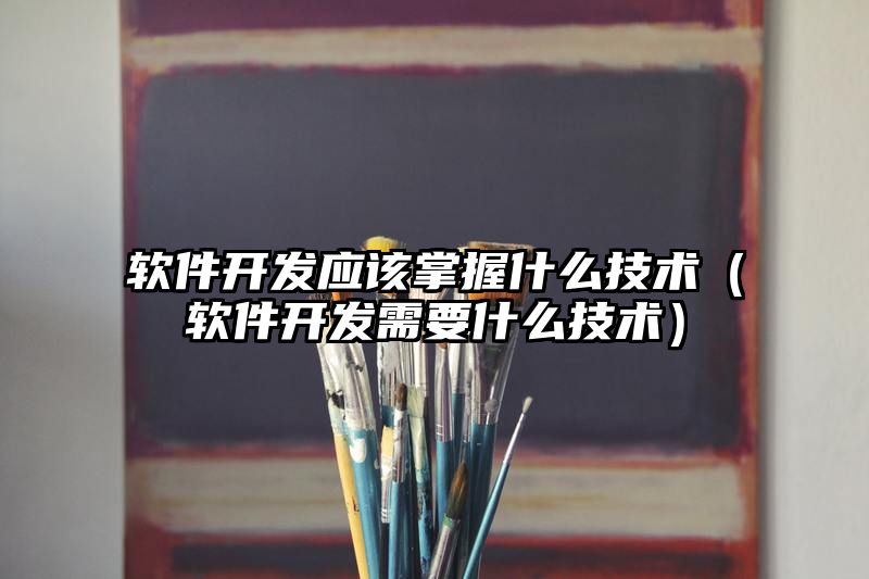 软件开发应该掌握什么技术（软件开发需要什么技术）