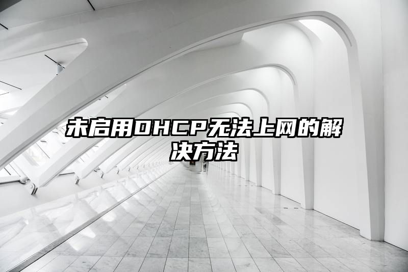 未启用DHCP无法上网的解决方法