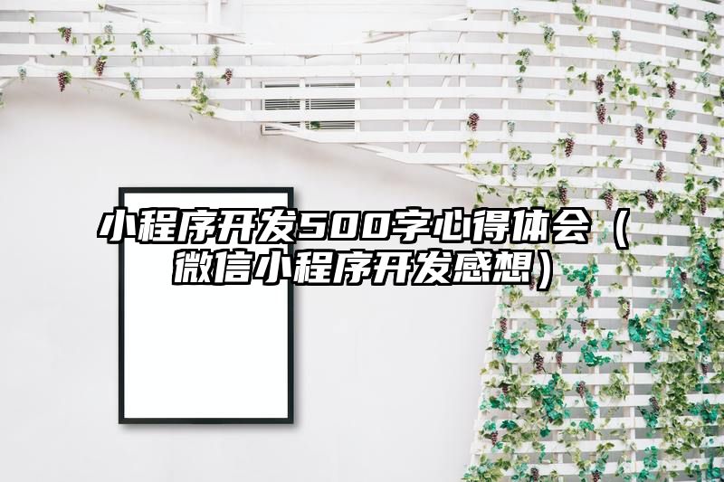 小程序开发500字心得体会（微信小程序开发感想）