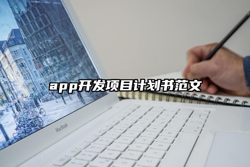 app开发项目计划书范文