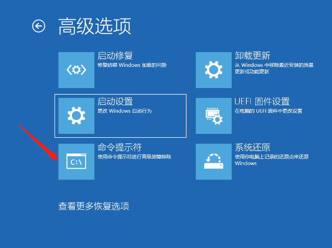 Win10系统进不去注册表无法恢复出厂设置怎么办？