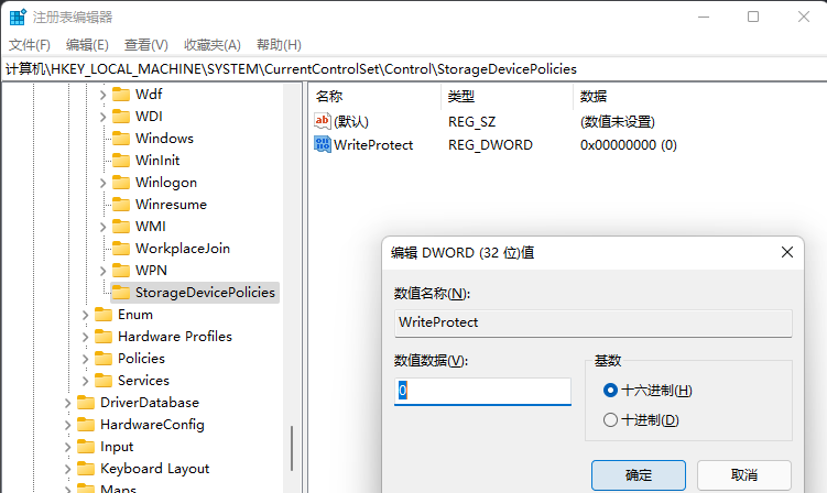 Win11磁盘被写保护怎么办？Win11磁盘被写保护解除方法