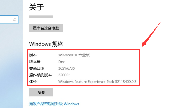 Win11系统如何查看自己的版号？Win11系统查看版号的方法