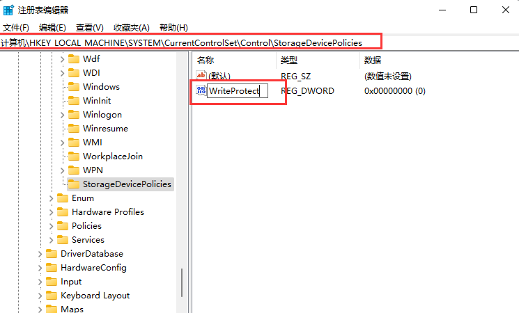 Win11磁盘被写保护怎么办？Win11磁盘被写保护解除方法