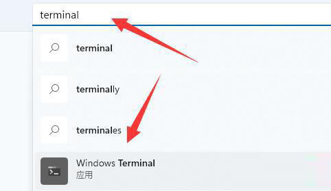 Win11总弹出找不到wt.exe提示怎么办？小编教你两种方法快速解决！