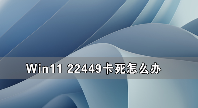 Win11 22449卡死怎么办？Win11 22449卡死的解决方法