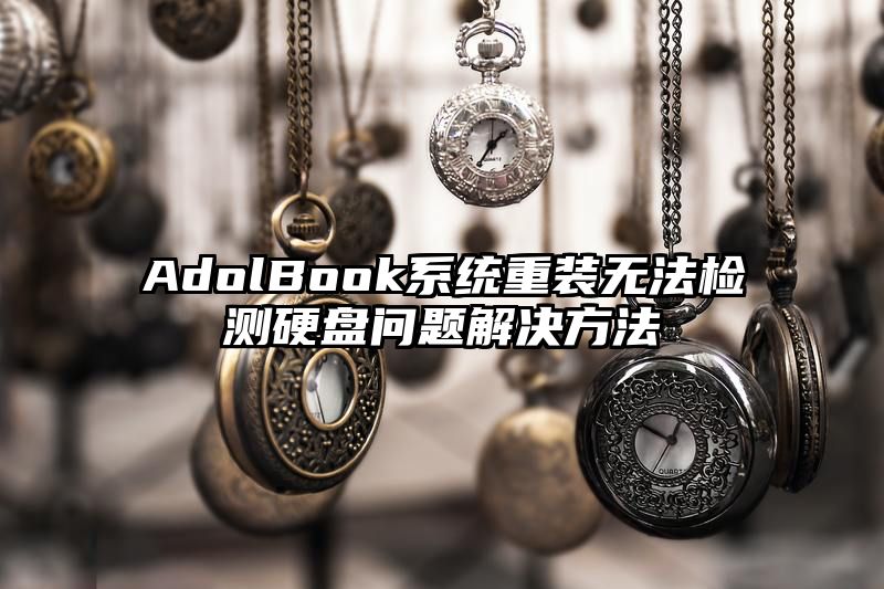 AdolBook系统重装无法检测硬盘问题解决方法