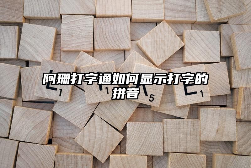 阿珊打字通如何显示打字的拼音