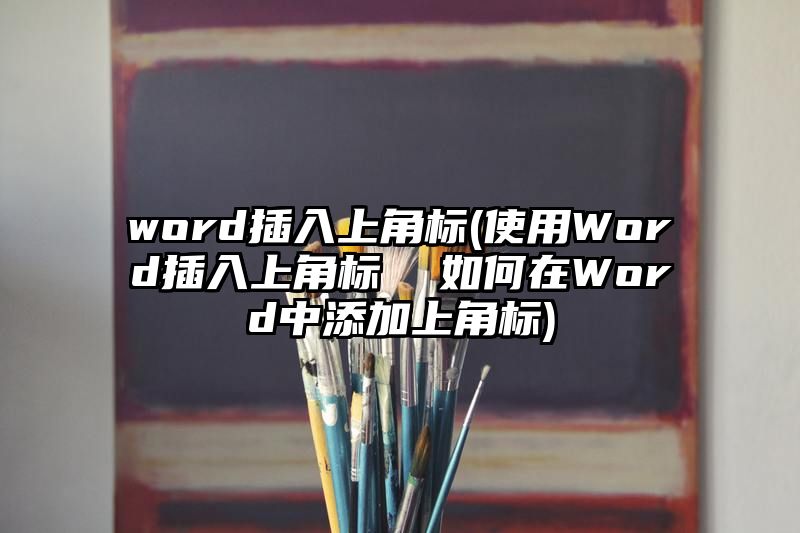 word插入上角标