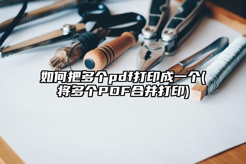 如何把多个pdf打印成一个