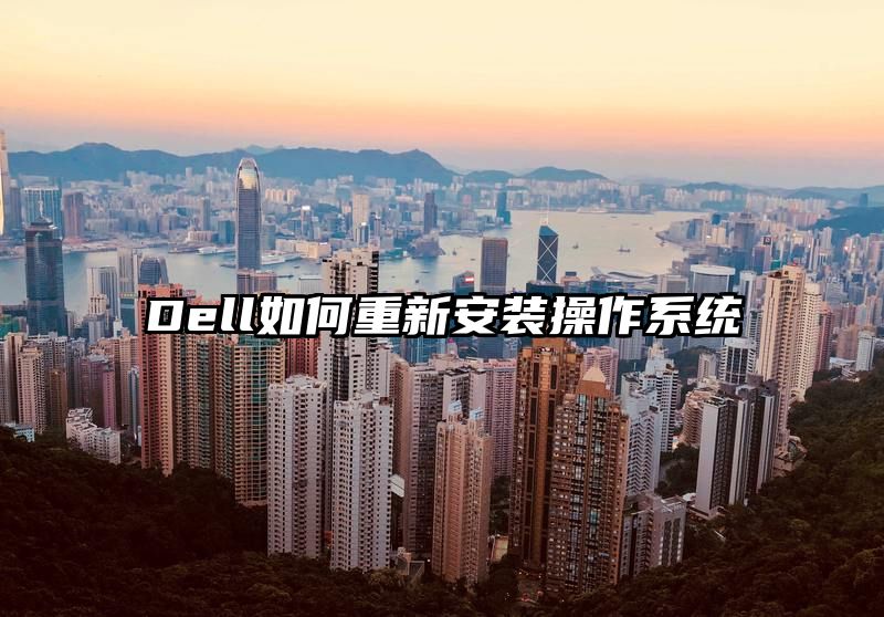 Dell如何重新安装操作系统