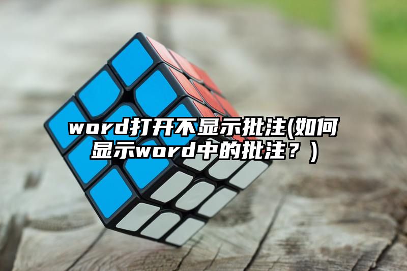 word打开不显示批注