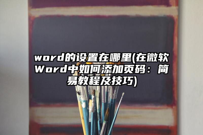 word的设置在哪里