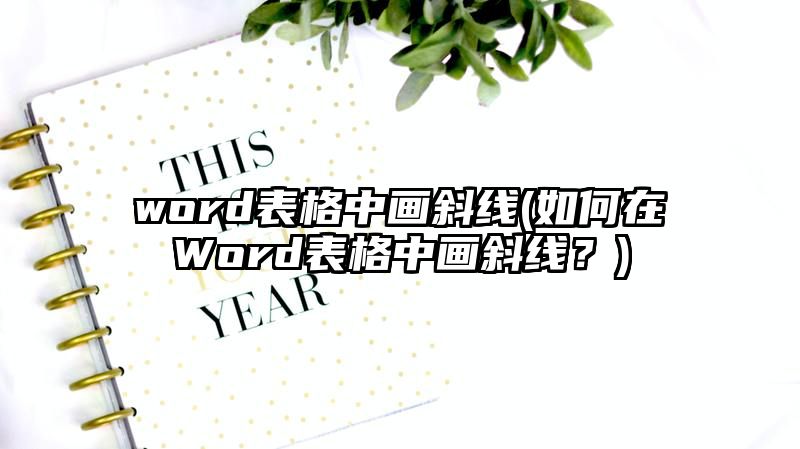 word表格中画斜线