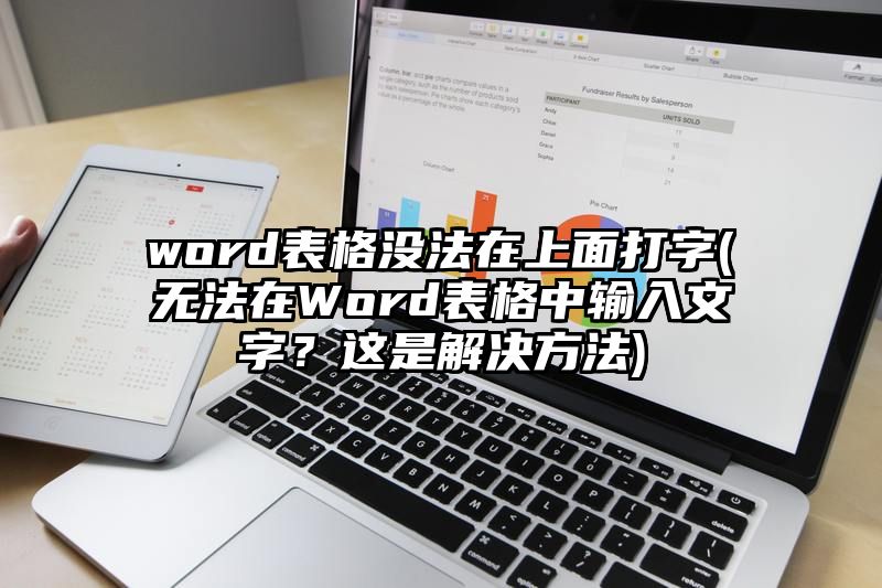 word表格没法在上面打字