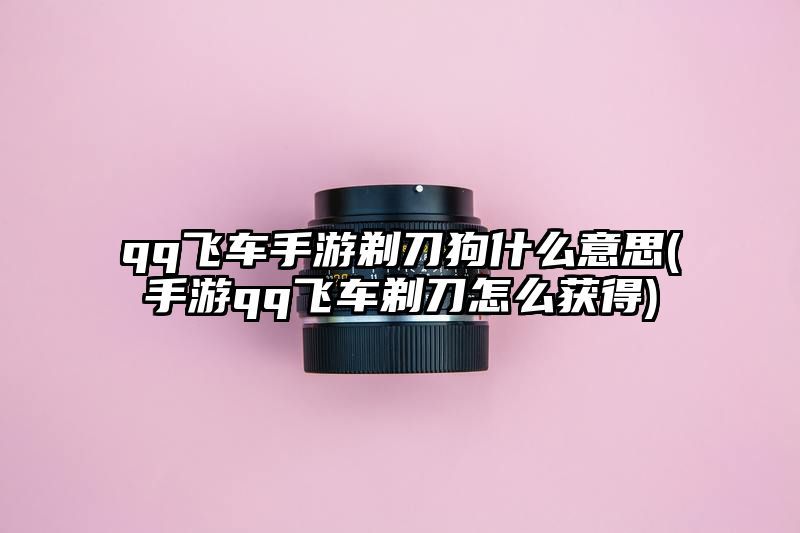 qq飞车手游剃刀狗什么意思