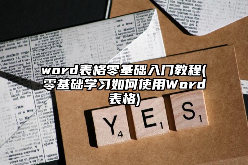 word表格零基础入门教程