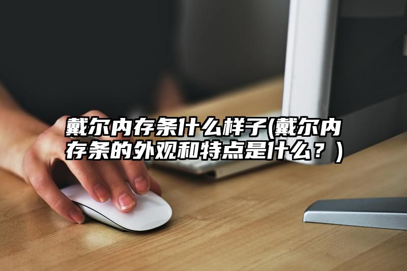 戴尔内存条什么样子