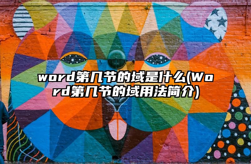 word第几节的域是什么