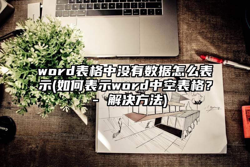 word表格中没有数据怎么表示