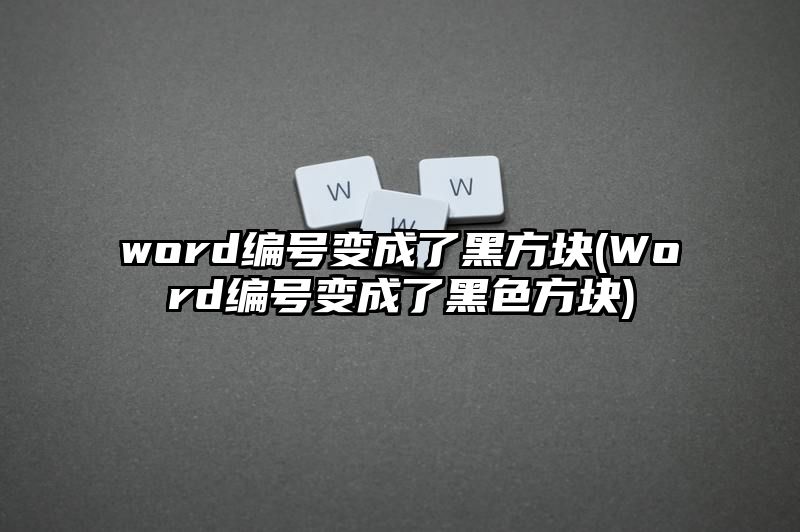 word编号变成了黑方块