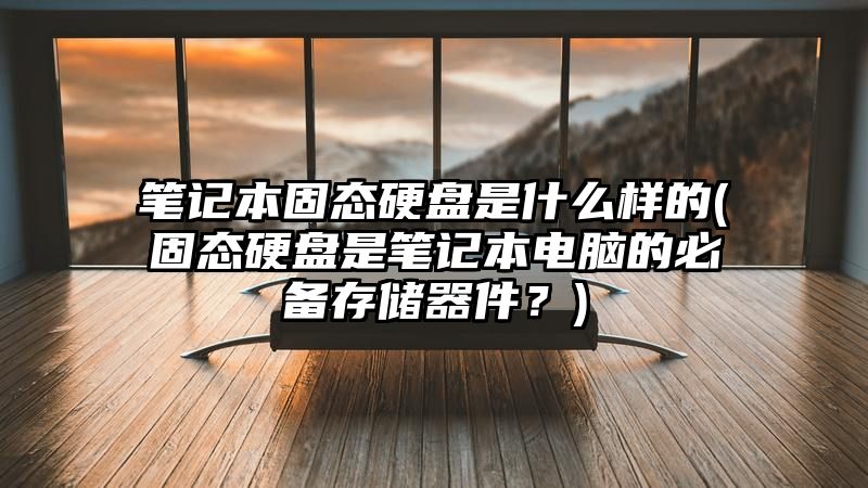 笔记本固态硬盘是什么样的