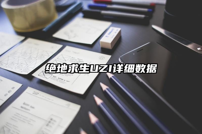 绝地求生UZI详细数据