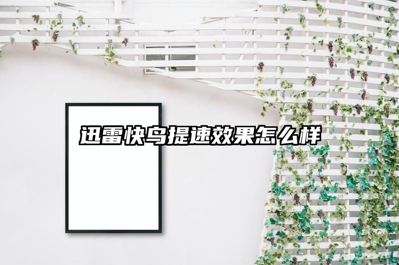 迅雷快鸟提速效果怎么样