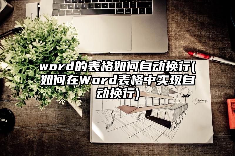 word的表格如何自动换行