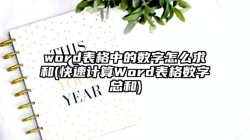 word表格中的数字怎么求和