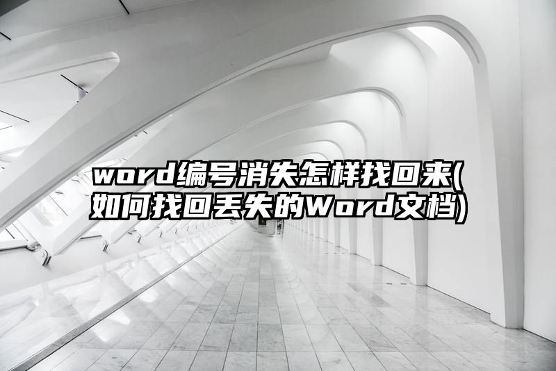 word编号消失怎样找回来