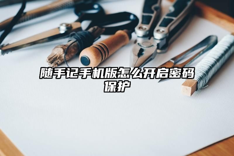 随手记手机版怎么开启密码保护