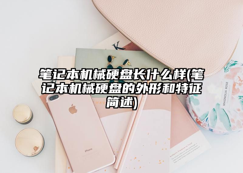 笔记本机械硬盘长什么样