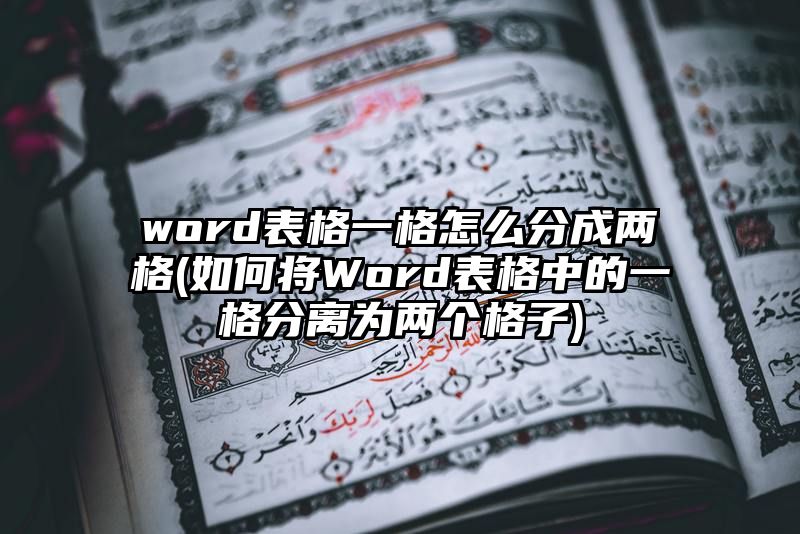 word表格一格怎么分成两格