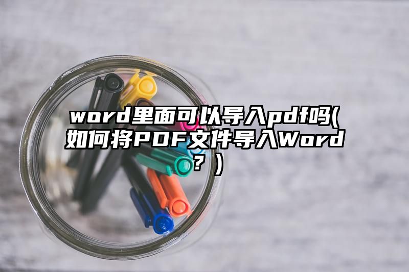 word里面可以导入pdf吗