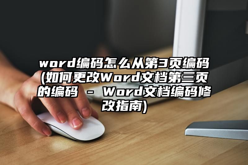 word编码怎么从第3页编码