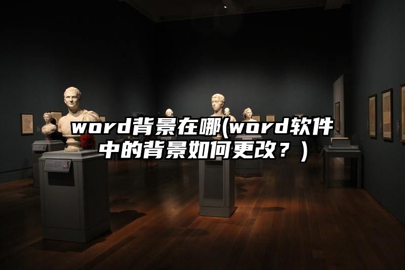 word背景在哪