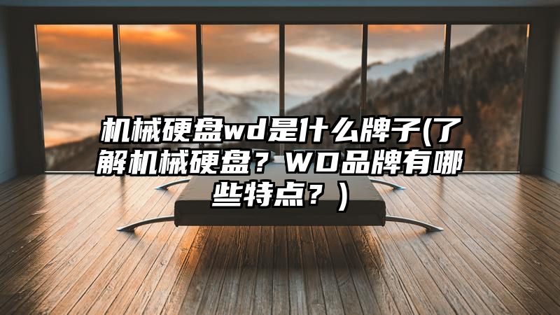 机械硬盘wd是什么牌子