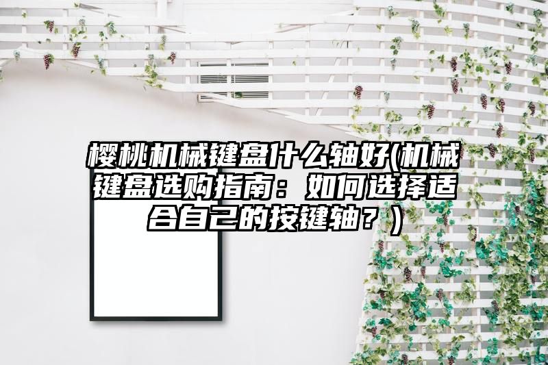 樱桃机械键盘什么轴好