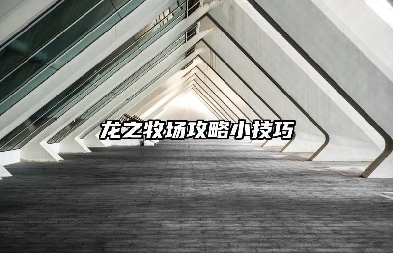 龙之牧场攻略小技巧