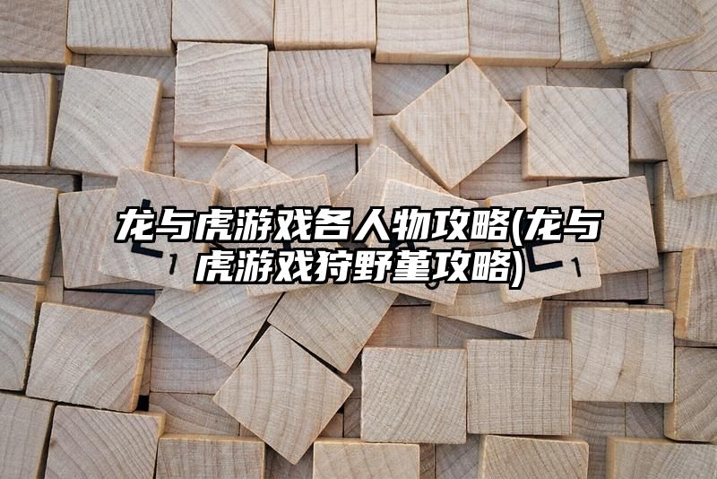 龙与虎游戏各人物攻略