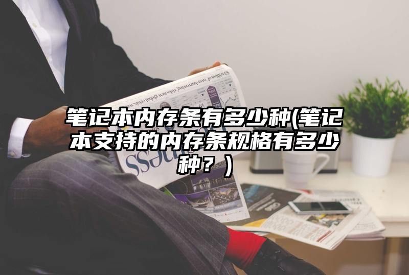 笔记本内存条有多少种