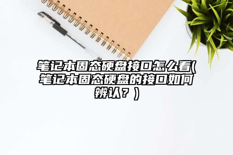 笔记本固态硬盘接口怎么看