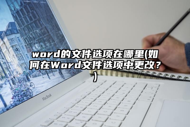 word的文件选项在哪里