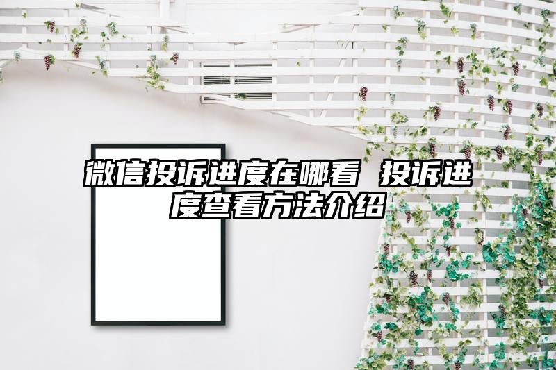 微信投诉进度在哪看 投诉进度查看方法介绍