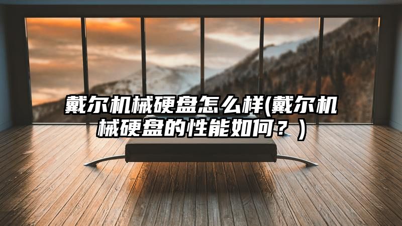 戴尔机械硬盘怎么样